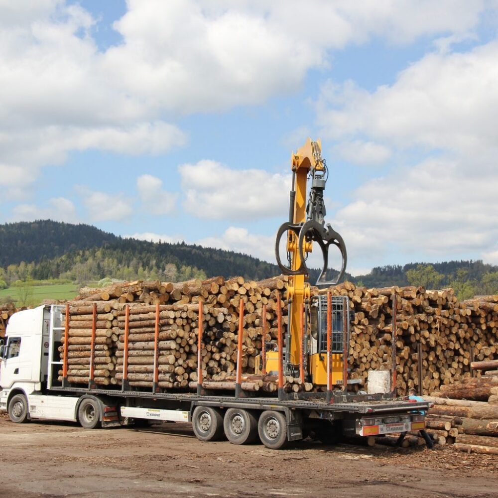 Buche Rundholz · Komplette LKW-Ladung 50 Ster